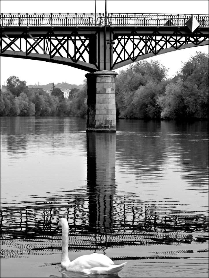 1545727_515791175194562_2049815905_n