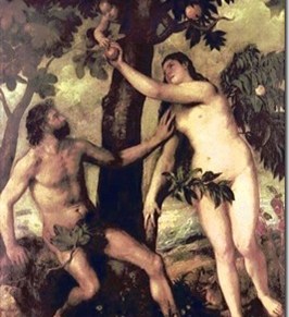 Misterij hrvatske jabuke!