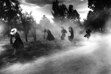 Robert Bagarić: Odbljesci&nbsp;(izbor)