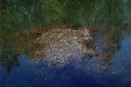 Božica Jelušić: TIHO&nbsp;MJESTO