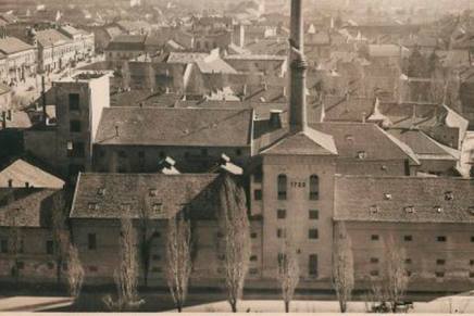 Nemanja Rotar: Lavirint