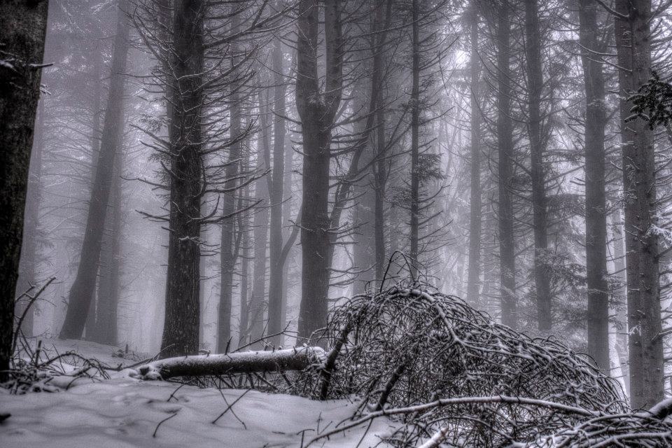 Fotografija: Tomislav Šarec