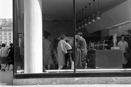 Željko Malnar: U potrazi za staklneim gradom&nbsp;(ulomak)