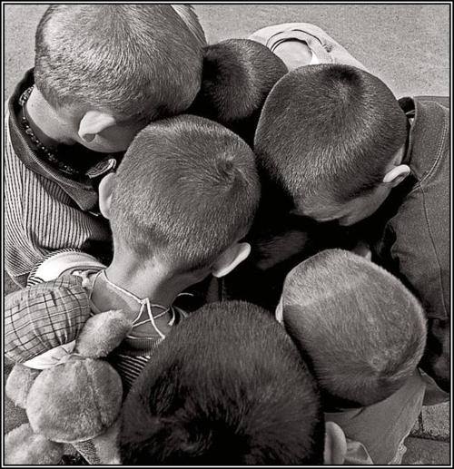 1560716_648950261832153_1419265830_n