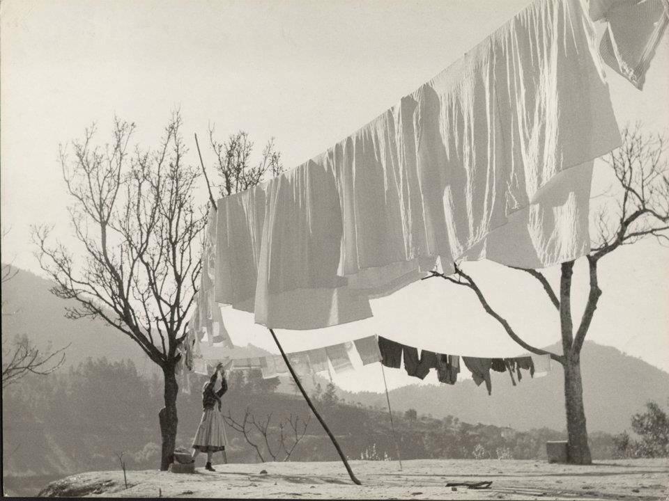 1002534_10202769631153008_1155524131478003203_n