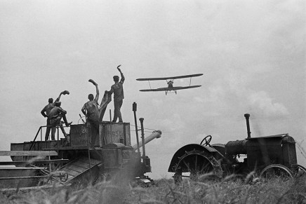 Silvija Šesto: Domovina