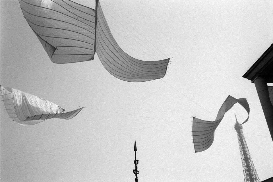 10636101_10202736019072727_3749217799229305434_n