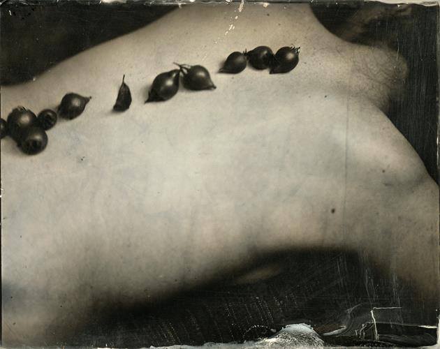 10636314_296799657175970_505194773886682400_n