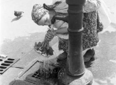 Damir Pilić: A kad će referendum o&nbsp;kapitalizmu?