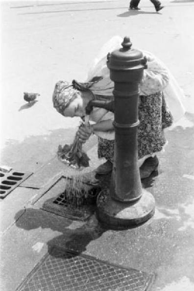 10670193_532459050219419_8761242386672498338_n