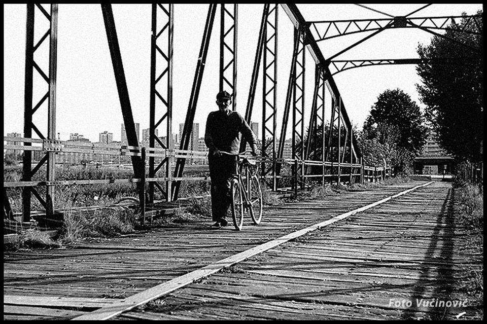 1385157_524563907662062_41871004_n