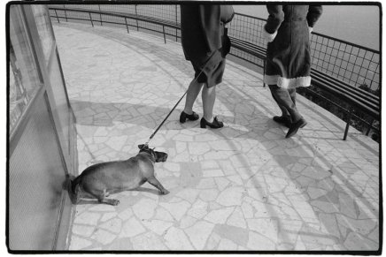 Nataša Andrić: STRAH&nbsp;ODVEZIVANJA