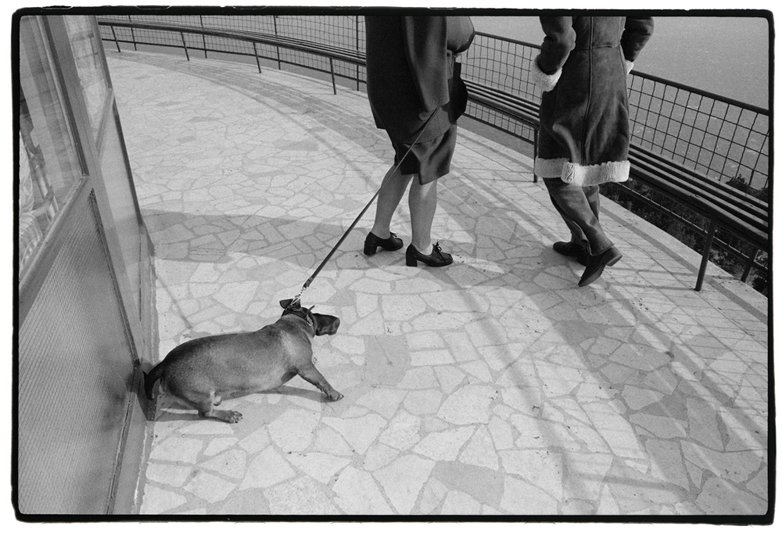 Fotografija: Ivan Posavec