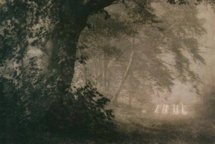 Vesna Parun: Večernja&nbsp;zvijezda