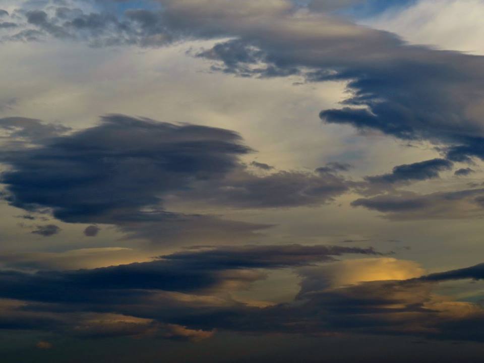 Fotografija: Tamara Stipetić