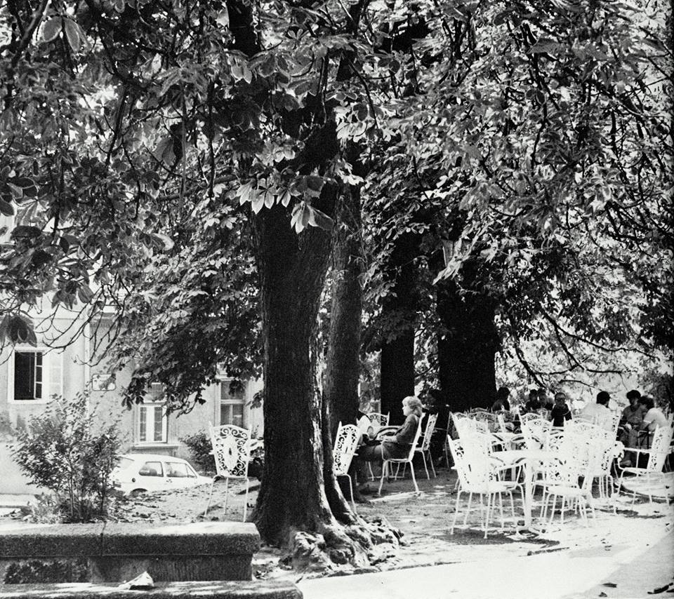 10006950_527951433989976_1574739279_n