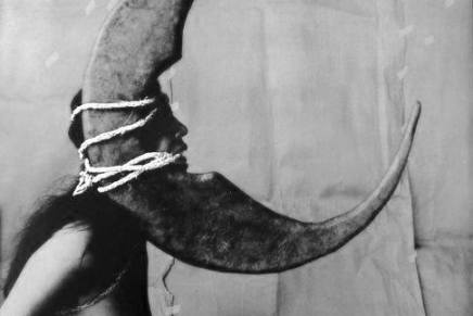 Grofica Janković: BEZIMENA