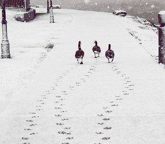 SAMO NAPRIJED U PROŠLOST: LIJEVA, LIJEVA,&nbsp;LIJEVA…