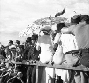 Aleksandar Hemon – Između&nbsp;svetova