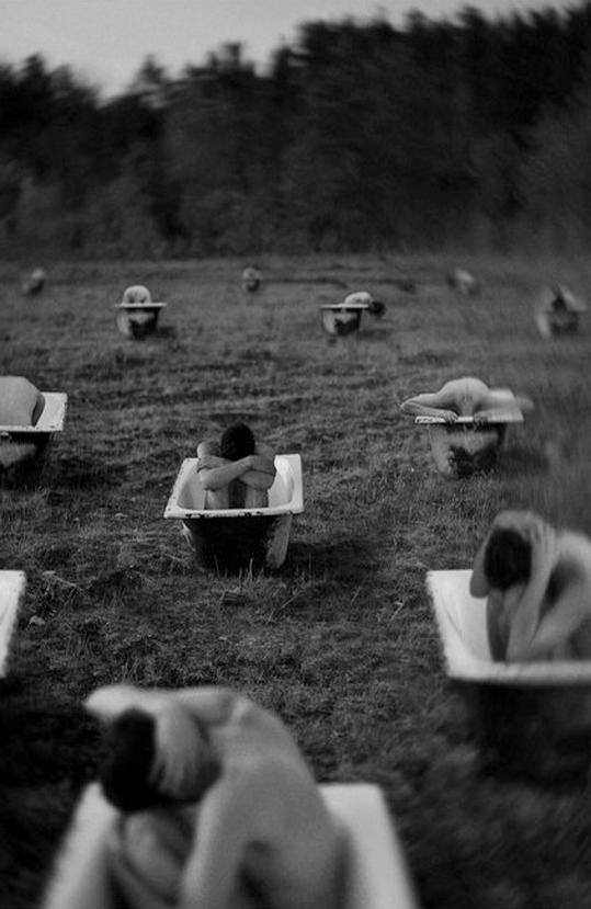 1501844_565796533503419_1641697221_n