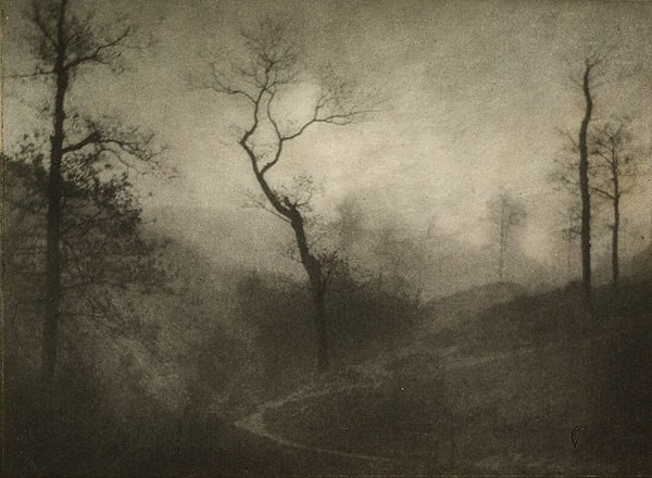 10169446_593447794121279_773078166885061348_n