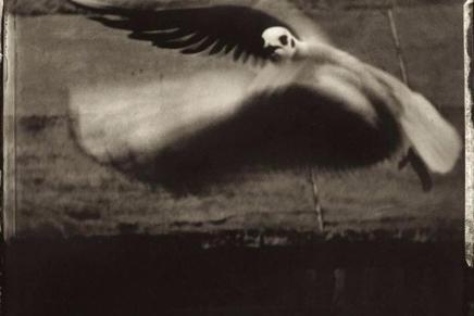 Ninoslav Žagar: POVIJEST&nbsp;BOLESTI