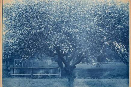 Branko Miljković: BALADA