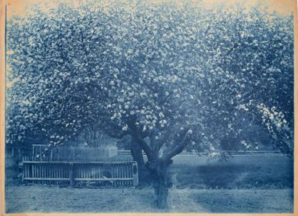 10410838_296105413912061_7934262025140674457_n