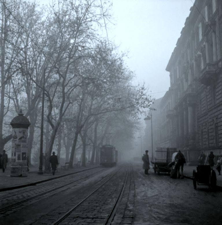 1483126_755298761205697_3794575913244990306_n