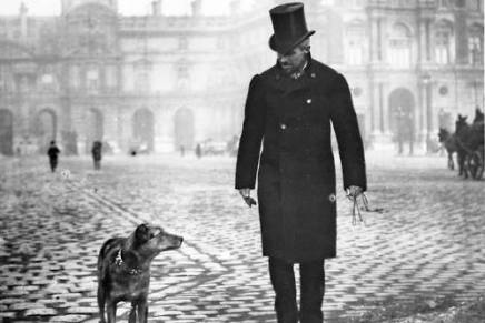 BRNJICA, ILI “NATURE VERSUS NURTURE” ĐURE&nbsp;GLOGOŠKOG