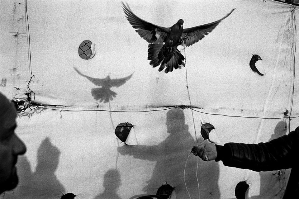 10425486_1031538936860005_891370428505540517_n