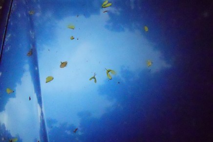 Elfrida Matuč Mahulja: KRUGOVI NA&nbsp;NEBU