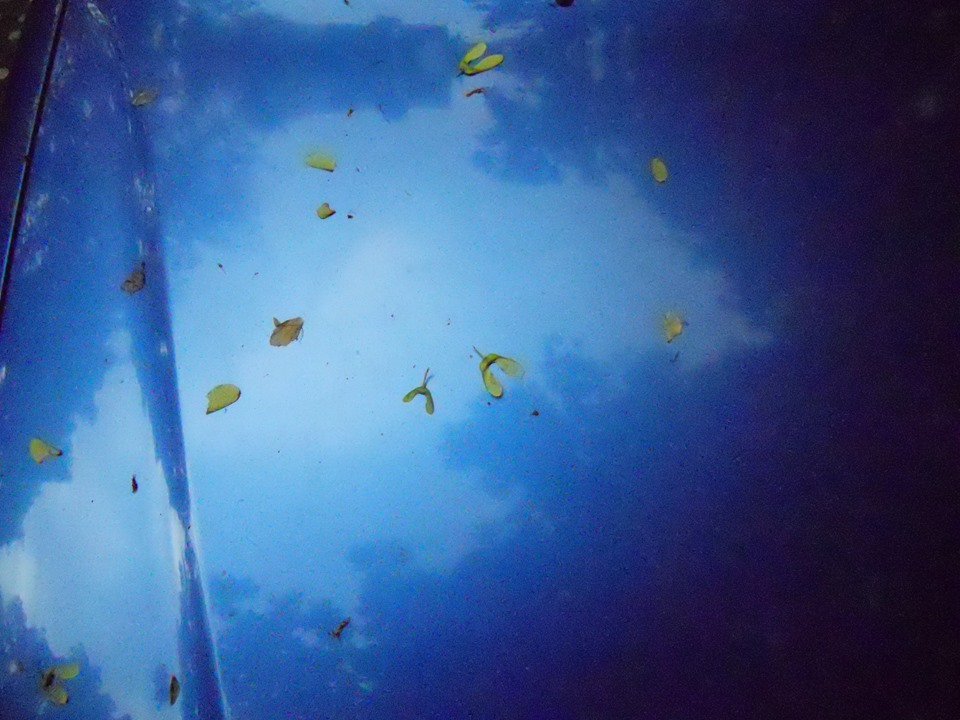 10253765_653387144726637_8794841806005848525_n