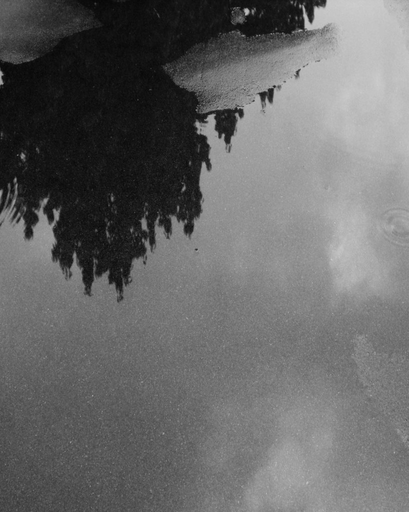 10844936_725379564224394_312319232_o