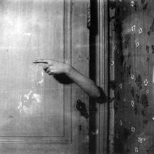 11006461_776162279133509_6884265541466451012_n