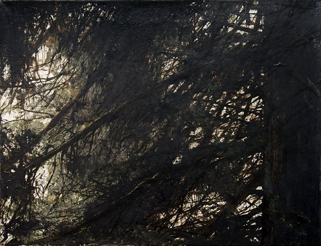 13681_10205992970249141_5383316381364787736_n