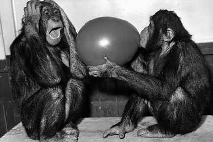 Pero Kvesić: NEPROLAZNO&nbsp;NEZNANJE