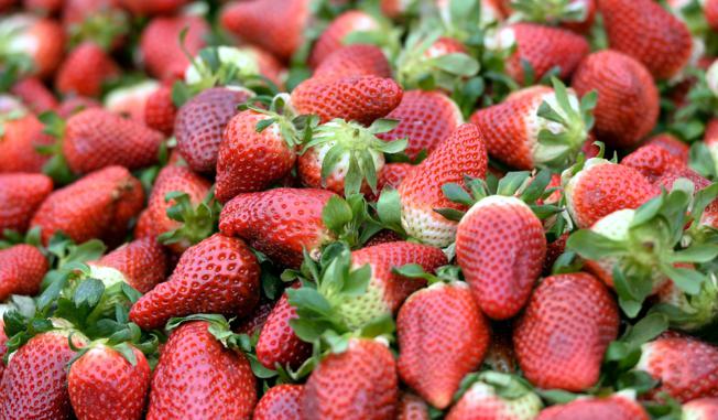 Photo: Marko Lukunic/PIXSELL 