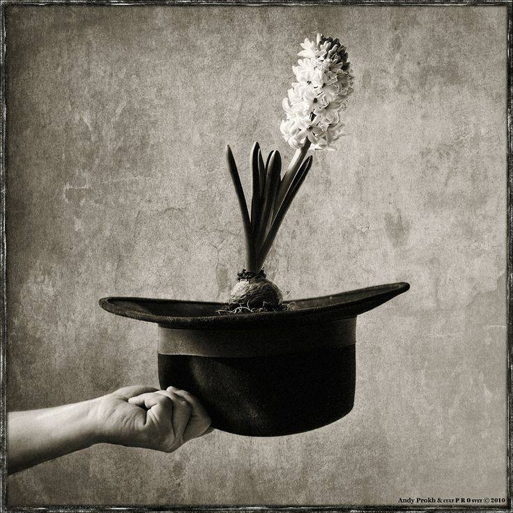 10458310_673338312736982_5095165870913848799_n