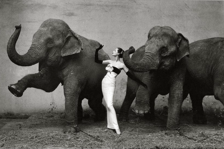 LASLO VEGEL: KAPITALIZAM S LJUDSKIM&nbsp;LICEM?