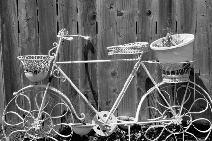 Božica Jelušić: LJETNI&nbsp;BICIKL