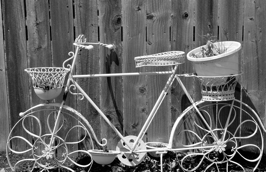 1. a. flower-bike-lisa-brandel