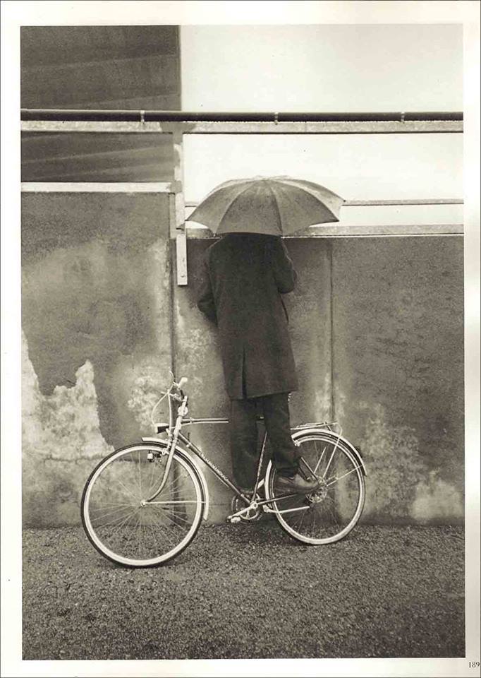 10857798_864627616921976_3273013165033038293_n