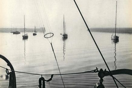 Žarko Jovanovski: U&nbsp;PARALELNOM