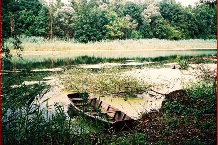 Božica Jelušić: MAGLA, RAZGOVOR&nbsp;ČAPLJI