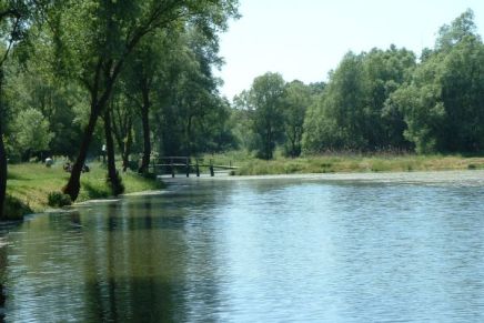 Božica Jelušić: VINO&nbsp;PELEGRINA