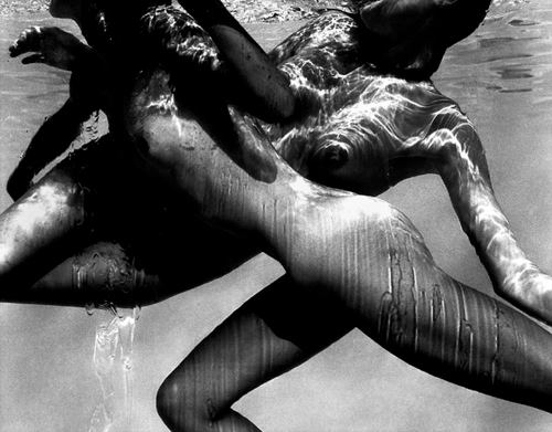 10300103_523175491145250_7460701406815389211_n