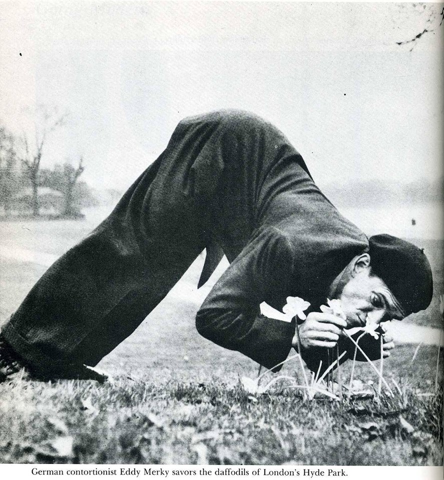 10421189_10204088416985378_1893104214942476034_n