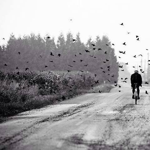 11796458_10204491280593168_3521188225170201280_n