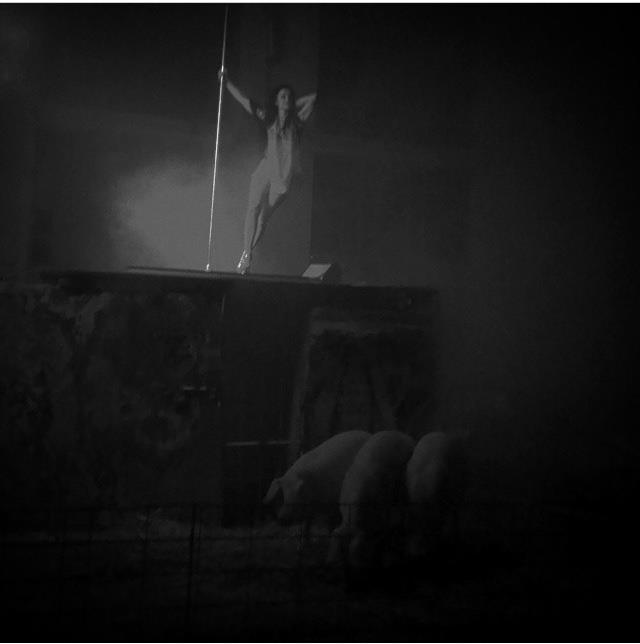 1383331_10203153936713152_128374594445178859_n